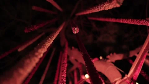 A Slow Motion Shot of an Indian Wedding Venue Decoration in India Stock Footage 314816699