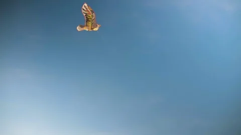 A slow motion shot of a kite being flown high up in the African sky. Stock Footage 108493473