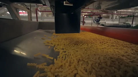 Slow motion shot of macaronis fall from automatic pasta manufactory machine Video stock 163255438