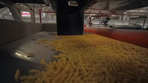 Slow motion shot of macaronis fall from automatic pasta manufactory machine Stock Footage 163311564