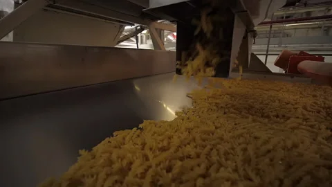 Slow motion shot of macaronis fall from automatic pasta manufactory machine Stock Footage 163394125