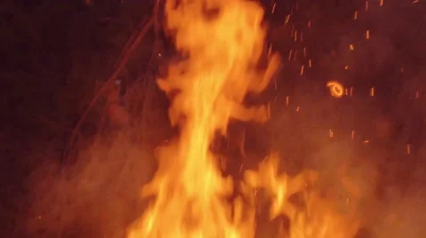 Slow motion shot of man burning dry branches on the bonfire Stock Footage 63907152