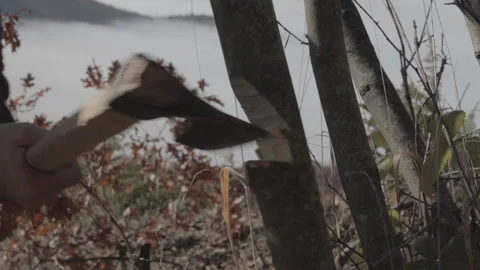 Slow motion shot of a man chopping a branch with an axe Video stock 147105045