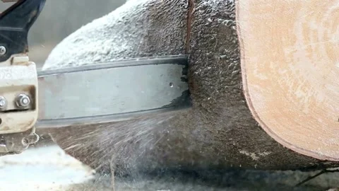 Slow-motion shot. Man cutting wood with chainsaw cutting tree wood log. SLO MO Stockbeeldmateriaal 336569919