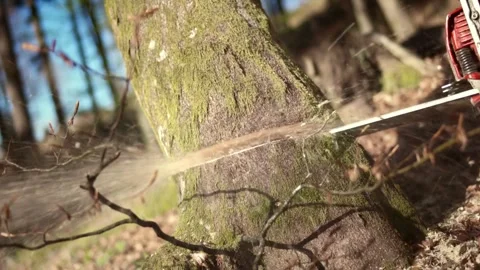 Slow-motion shot. Man cutting wood with chainsaw cutting tree wood log. SLO MO 库存影片 336570718