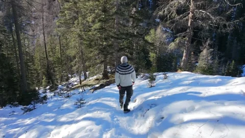 Slow Motion Shot of Man Walking Through Snowy Forest in Winter Video stock 326181421