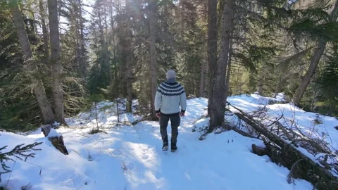 Slow Motion Shot of Man Walking Through Snowy Forest in Winter Stock-Footage 326181426