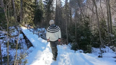 Slow Motion Shot of Man Walking Through Snowy Forest in Winter Stock-Footage 326181454