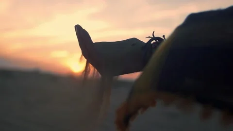 Slow motion shot of a man's hand moving through sand in the Desert. Stock Footage 239093474