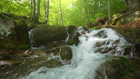 Slow motion shot of mountain river in the forest. Streams of water run through Stock Footage 131672716