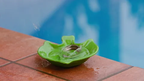 Slow motion shot of an object dropping into the bowl and the water splashes Stock Footage 231461162