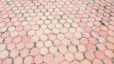 Slow motion shot of orange brick on the sidewalk with a little bit of grass Video stock 102175693