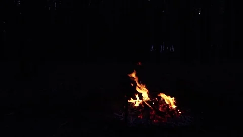Slow motion shot on orange fire flames burning on forest bonfire in the woods on Stock Footage 102389194