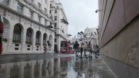 Slow motion shot of pigeons taking off in rainy central London Stock Footage 154723756