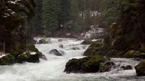 Slow Motion shot of powerful Pacific Northwest Waterfall/ Rapids Stock Footage 83196615
