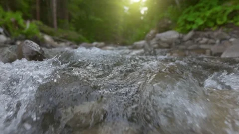 Slow motion shot of raging mountain river in the forest. Gimbal shot of clear Stock Footage 197369983