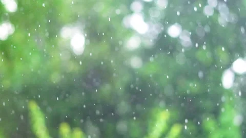 Slow motion shot of rain drops in forest (2) Stock Footage 252122578