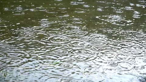 Slow motion shot of rain drops in water Stock Footage 252122717