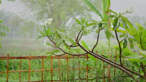 Slow motion shot of raindrops falling in the backyard. Stockbeeldmateriaal 341910202