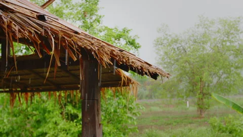 Slow motion shot of raindrops falling on the straw rooftop of the hut Stockbeeldmateriaal 341912458