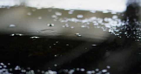 Slow motion shot of raindrops. Stock Footage 102928477