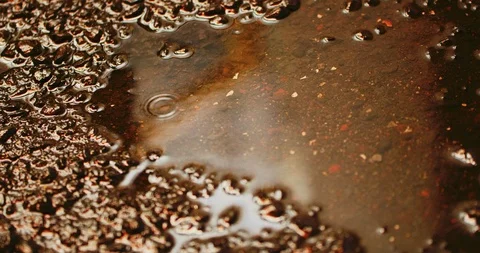 Slow motion shot of raindrops. Stock Footage 103419746