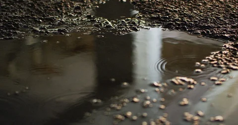 Slow motion shot of raindrops. Stock Footage 103420029