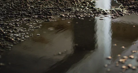 Slow motion shot of raindrops. Stock Footage 103420344