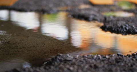 Slow motion shot of raindrops. Stock Footage 103420579