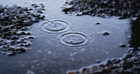 Slow motion shot of raindrops. Stock Footage 103420675