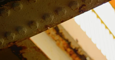 Slow motion shot of raindrops. Stock Footage 103420748