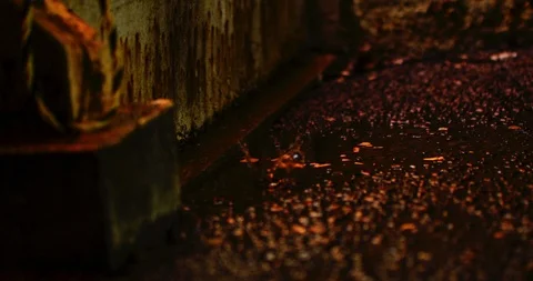 Slow motion shot of raindrops. Stock Footage 103420950