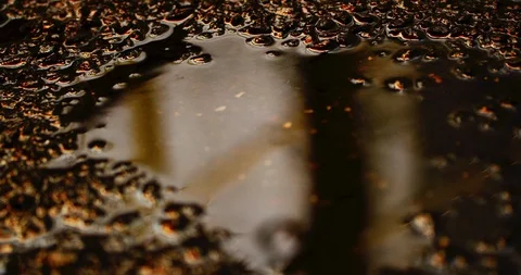 Slow motion shot of raindrops. Stock Footage 103420970