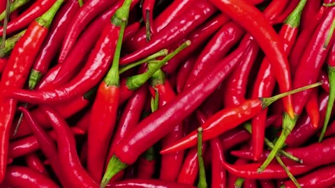 Slow Motion Shot of Red hot chilli peppers 스톡 동영상 169243447