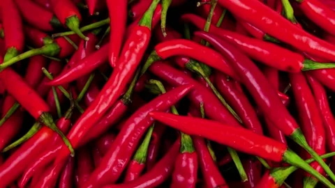 Slow Motion Shot of Red hot chilli peppers as a background or texture. Stock Footage 169243480
