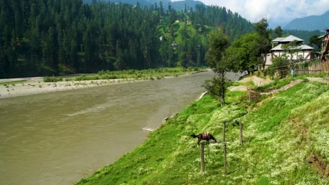 Slow motion shot of river with lush green mountains in hilly area of Pakista Stock Footage 200752289