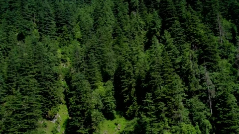 Slow motion shot of river with lush green mountains in hilly area of Pakista Stock Footage 200754886