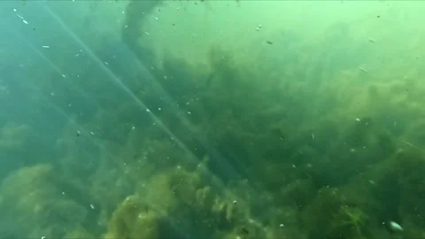 Slow motion shot of river with split surface view showing underwater debris.. Video stock 334315753