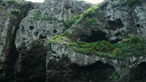 Slow motion shot of rocky mountains filled with bushes, plants and moss Vidéo 123732243