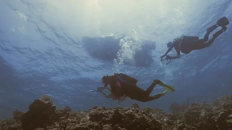 Slow motion shot of scuba divers swimming over coral reef, Red Sea 動画素材 62907979