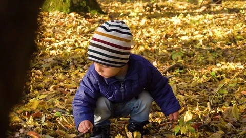 Slow motion shot of a shocked boy in the autumn forest then smile Stock Footage 83087825