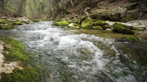 Slow motion shot of small mountain forest stream with crystal clear water. River Video stock 154397822
