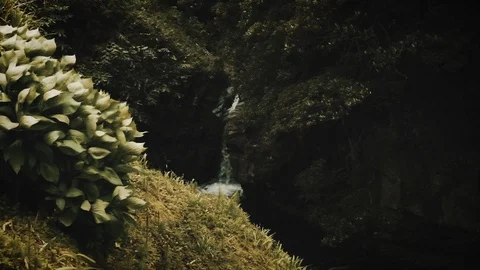 Slow motion shot of small waterfall in Azores Stock Footage 109582725