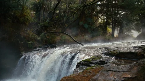 Slow motion shot of steaming river in native New Zealand forest Stock Footage 90270704