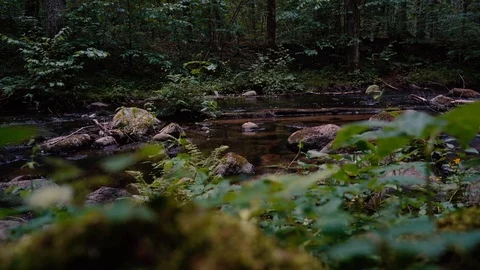Slow Motion Shot Of Stony River Stock Footage 110304156