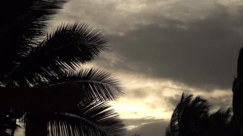 A Slow Motion Shot of Sunset and Trees in India Stock Footage 306040206