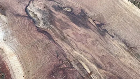 Slow motion shot of the surface of a wooden slab Stock Footage 218359502