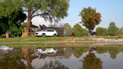 Slow motion shot of tent pagging horse in Pakistan (10) Stock Footage 252123254