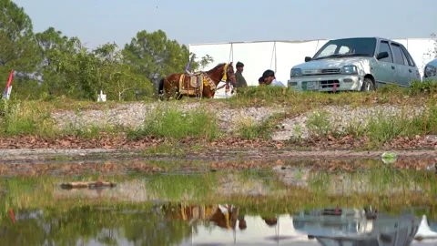 Slow motion shot of tent pagging horse in Pakistan (9) Stock Footage 252123255