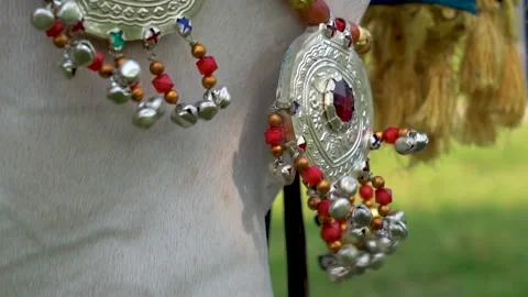 Slow motion shot of tent pagging horse in Pakistan (14) Stock Footage 252123291